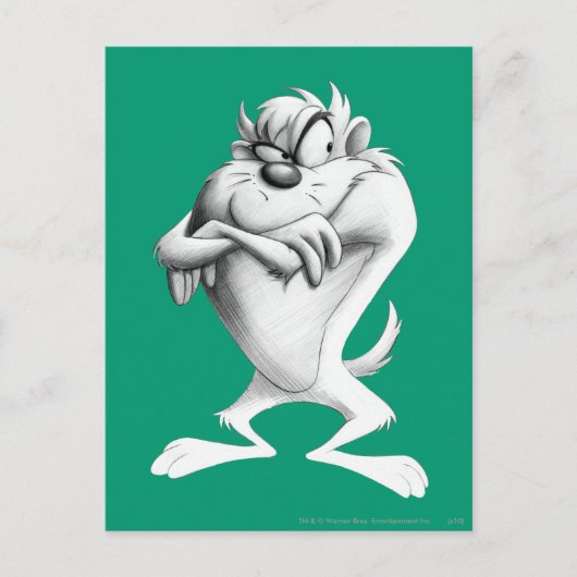 TAZ™スケッチ ポストカード (正面)