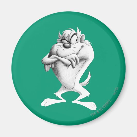 TAZ™スケッチ マグネット (正面)