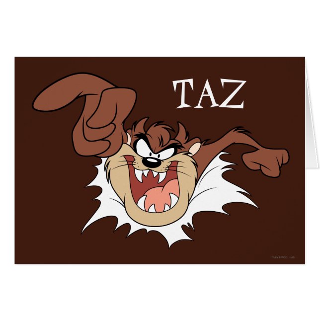 TAZ™バーストスルーページ (正面横)