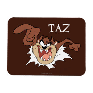 TAZ™バーストスルーページ マグネット