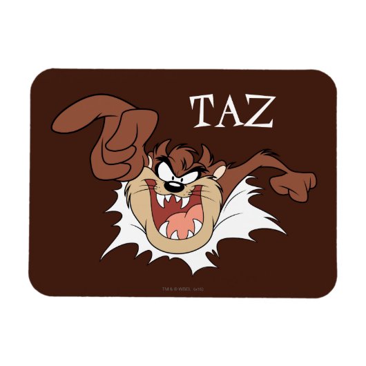 TAZ™バーストスルーページ マグネット (横)