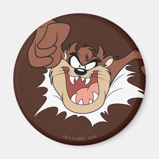 TAZ™バーストスルーページ マグネット (正面)