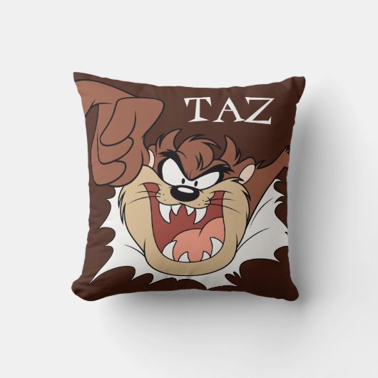 TAZ™バースト処理 クッション (正面)
