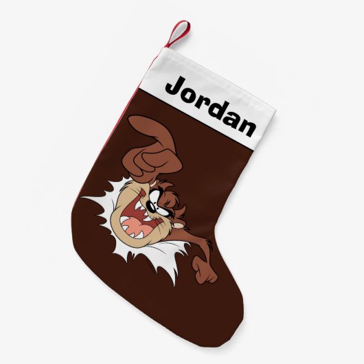 TAZ™バースト処理 スモールクリスマスストッキング (正面 (吊り時))