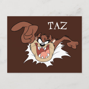 TAZ™バースト処理 ポストカード