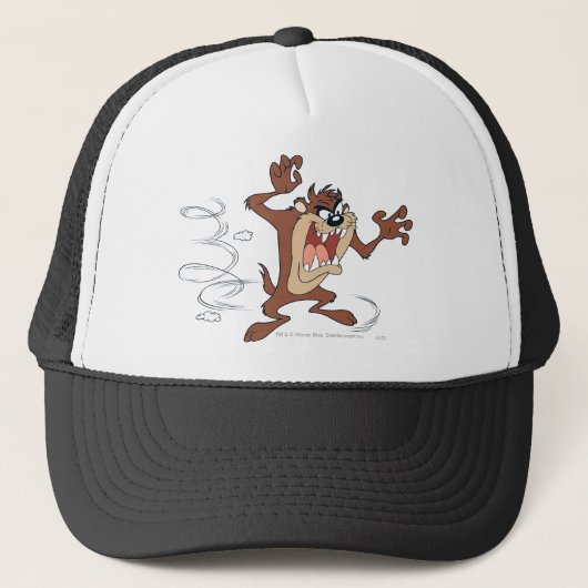 TAZ™ポーズ10 キャップ (正面)