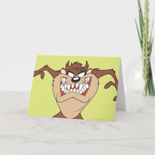 TAZ™ポーズ15 カード (正面)