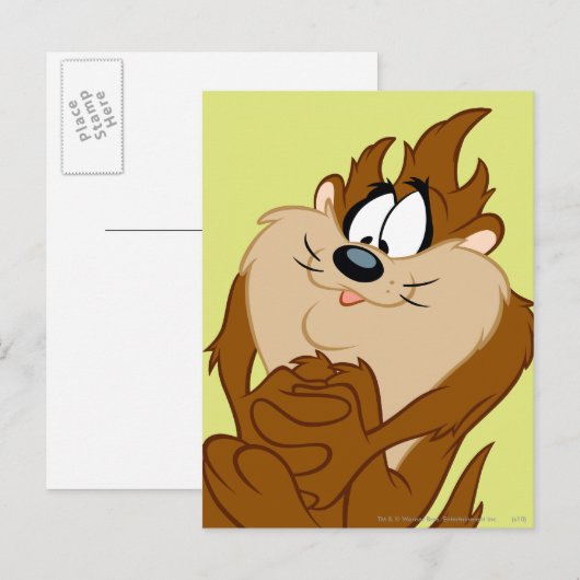 TAZ™ポーズ4 ポストカード (正面/裏面)