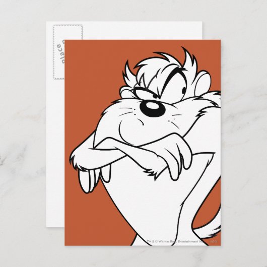 TAZ™ポーズ ポストカード (正面/裏面)