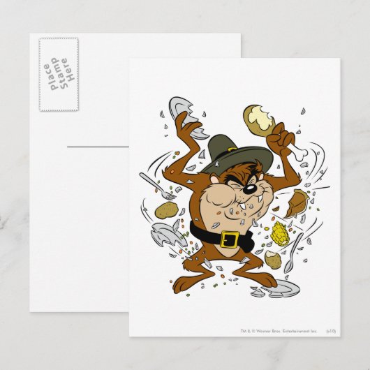 TAZ™下降 ポストカード (正面/裏面)