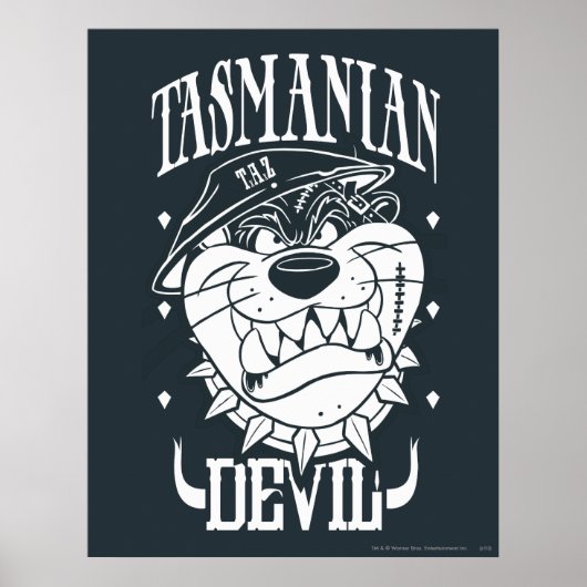 TAZ™ – 反逆8 ポスター (正面)