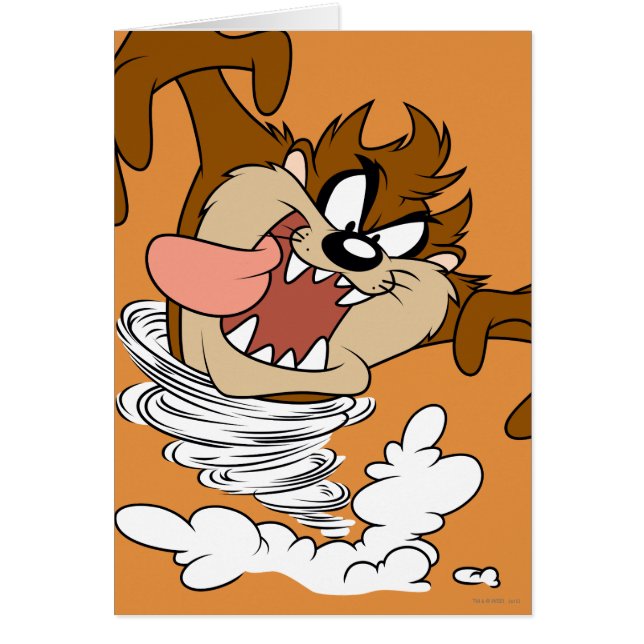 TAZ™渦巻き竜巻 (正面)