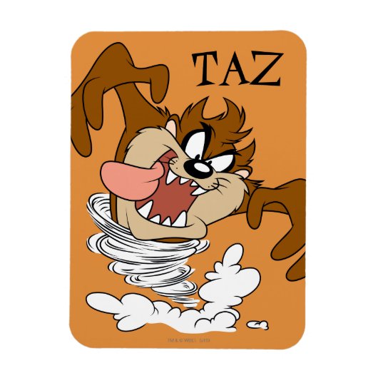 TAZ™渦巻き竜巻 マグネット (縦)