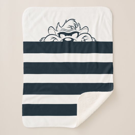 TAZ™隠れストライプ中 シェルパブランケット (正面)