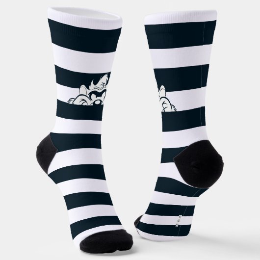 TAZ™隠れストライプ中 ソックス (傾斜あり)