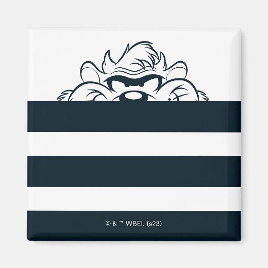 TAZ™隠れストライプ中 マグネット (正面)