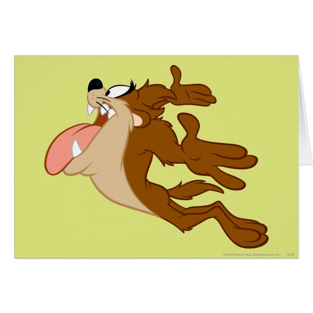 TAZ™飛んでいるを空中に (正面横)