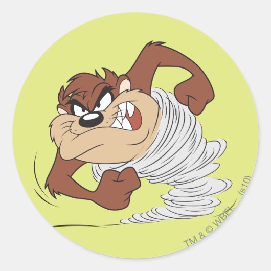 TAZ™高速回転 ラウンドシール (正面)