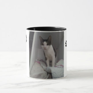 Taza gato lindo マグカップ