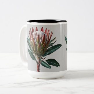 Taza Protea ツートーンマグカップ