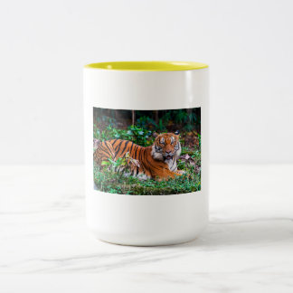 taza tg ツートーンマグカップ
