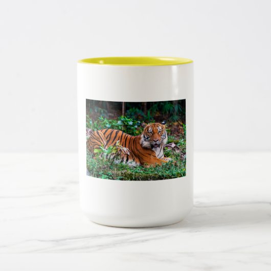 taza tg ツートーンマグカップ (中央)