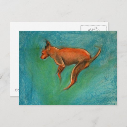 Tazzmaster ポストカード (正面/裏面)