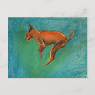 Tazzmaster ポストカード