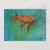 Tazzmaster ポストカード (正面)