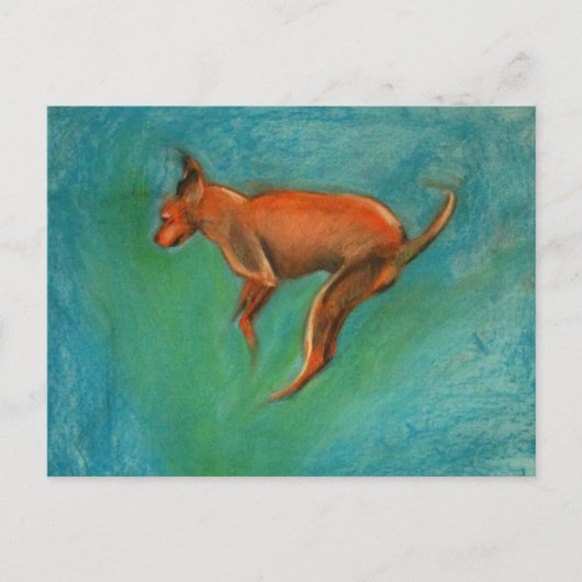 Tazzmaster ポストカード (正面)