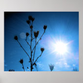 TBA受賞者の希望 ポスター (正面)