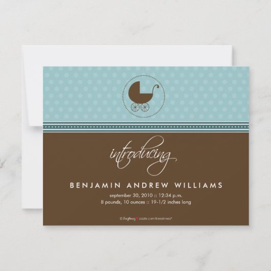 {TBA}喜びのキリンの誕生の発表の束 案内状 (裏面)