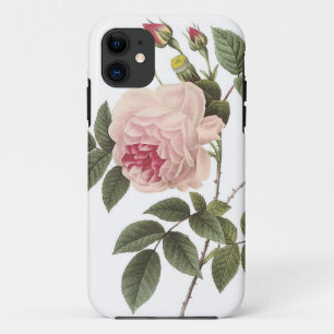 (TBA) Redouteは2上がりました iPhone 11 ケース