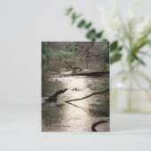 Tchefunte Glimmerはがき ポストカード (スタンド正面)