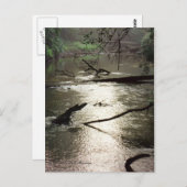 Tchefunte Glimmerはがき ポストカード (正面/裏面)