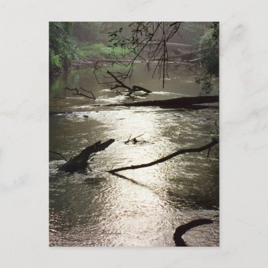 Tchefunte Glimmerはがき ポストカード (正面)