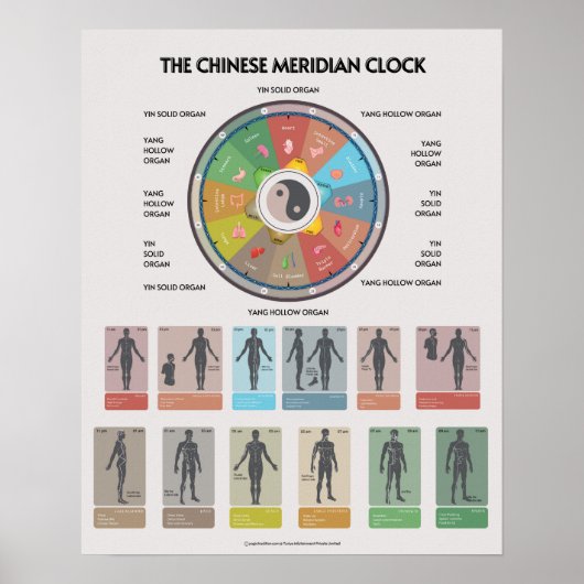 TCM Meridian Organ Clock Poster, Chinese Medicine ポスター (正面)