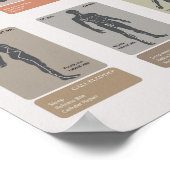 TCM Meridian Organ Clock Poster, Chinese Medicine ポスター (角)