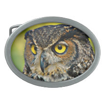 TCWC -アメリカワシミミズク