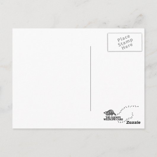 TCWC – プーママウンテンライオンアート ポストカード (裏面)