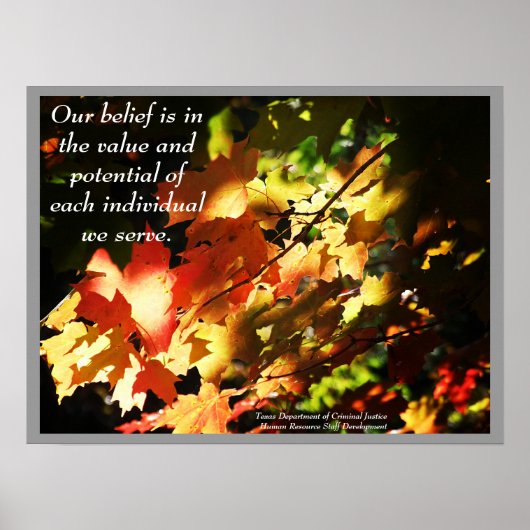 TDCJ HRスタッフ開発ポスター – カスタマイズ ポスター (正面)
