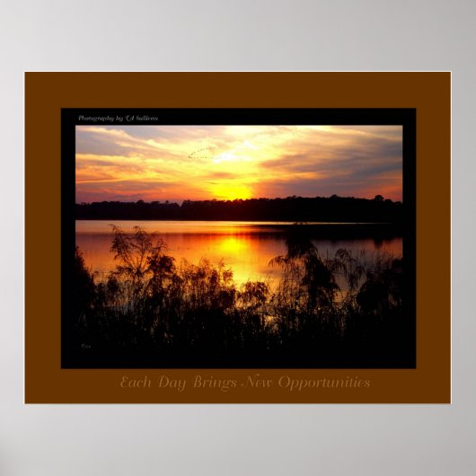 TDGalleryによるオポチュニティ ポスター (正面)