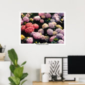 TDGalleryによるピンクと紫のスノーボール ポスター (ホームオフィス)