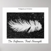 TDGalleryによる強度 ポスター (正面)