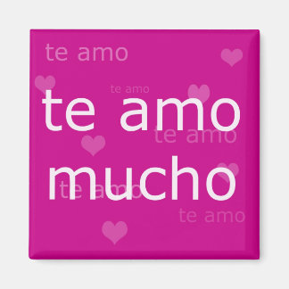 Te Amo磁石 マグネット