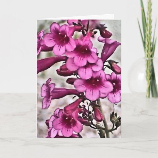 Te quiero,ヴァレンティスペインのンズデイカード シーズンカード (正面)