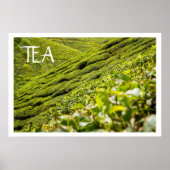 Tea Plantation ポスター (正面)