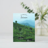 Tea Plantation in Taiwan ポストカード (スタンド正面)
