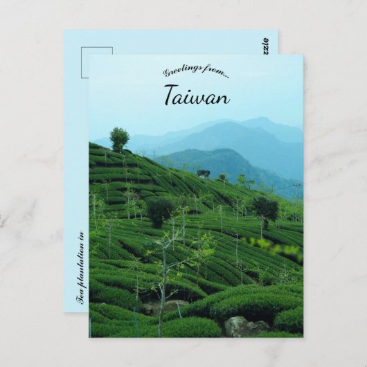 Tea Plantation in Taiwan ポストカード (正面/裏面)