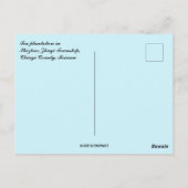 Tea Plantation in Taiwan ポストカード (裏面)